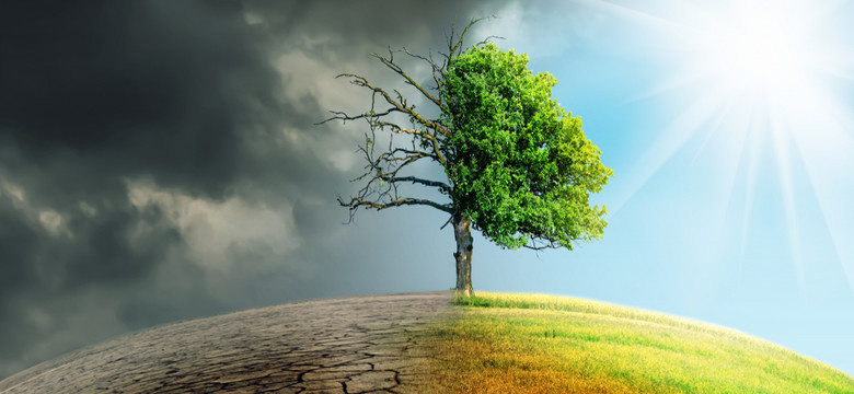 Zielony przełom. Stany Zjednoczone będą musiały gonić Państwo Środka