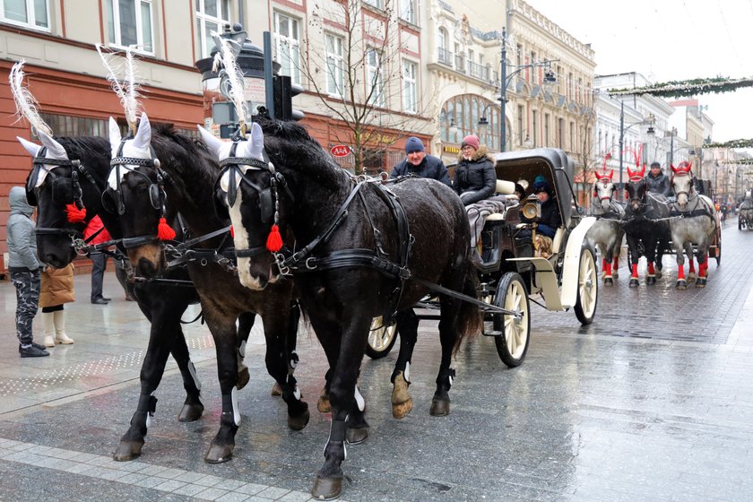 Łódź gra z Orkiestrą!