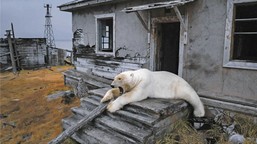 rosja, czyli perpetuum debile [wywiad]