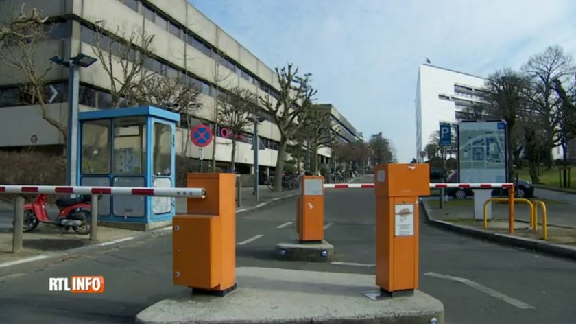 Rozczłonkowane zwłoki znalezione w parku w Brukseli