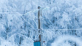 Ostra zima uderzy w Polskę. Wracają intensywne śnieżyce. IMGW podaje konkretną datę