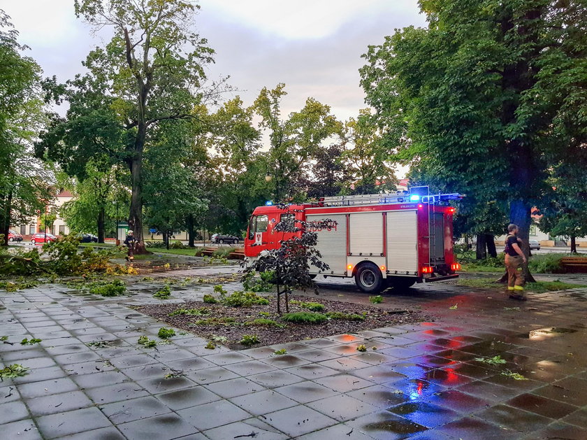 Burza w Aleksandrowie Łódzkim. Ludzie nie słuchali ostrzeżeń