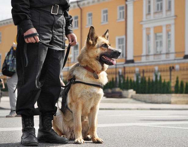 Cała operacja – od pojawienia się kokainy w porcie w Gdyni do zatrzymań – trwała kilka tygodni.