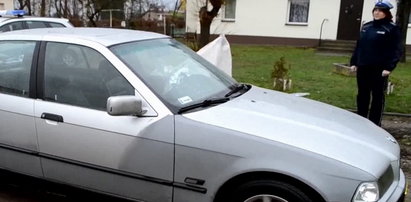 To tym autem szalał poznański Frog. FILM