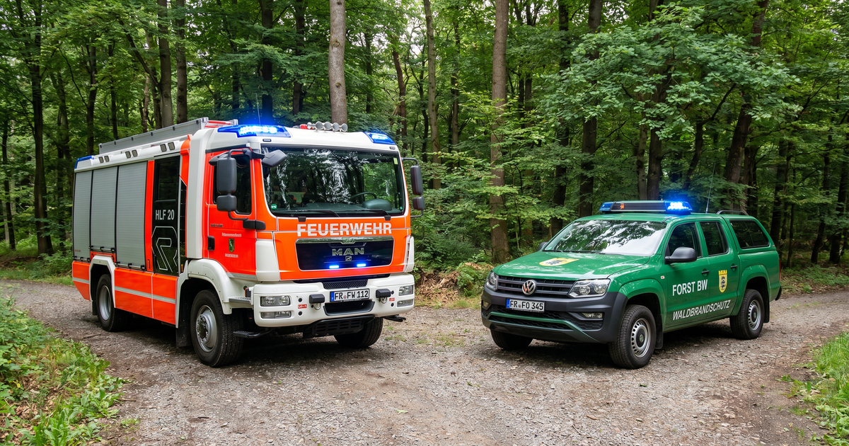 was-passiert-bei-mehreren-waldbr-nden-gleichzeitig-drei-l-nder-testen-neue-strategie