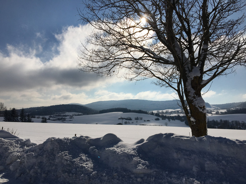 Bieszczady – droga do Bandrowa Narodowego