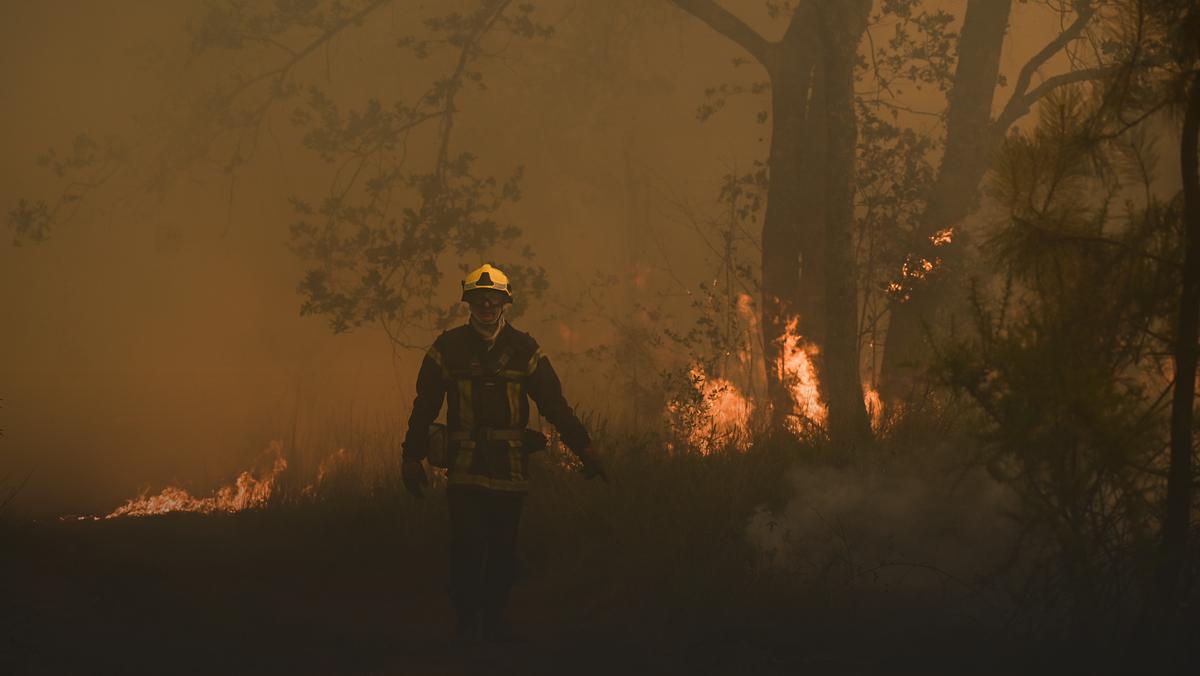 Pożar lasu koło Louchats w południowo-wschodniej Francji