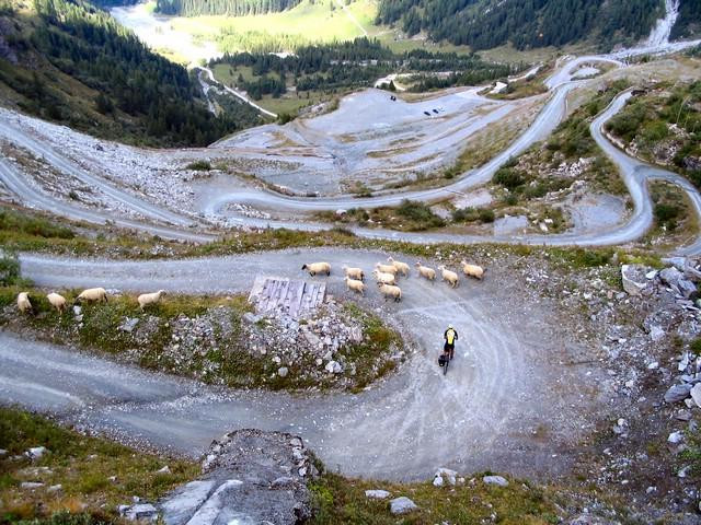 Galeria Rowerem przez Alpy, obrazek 60