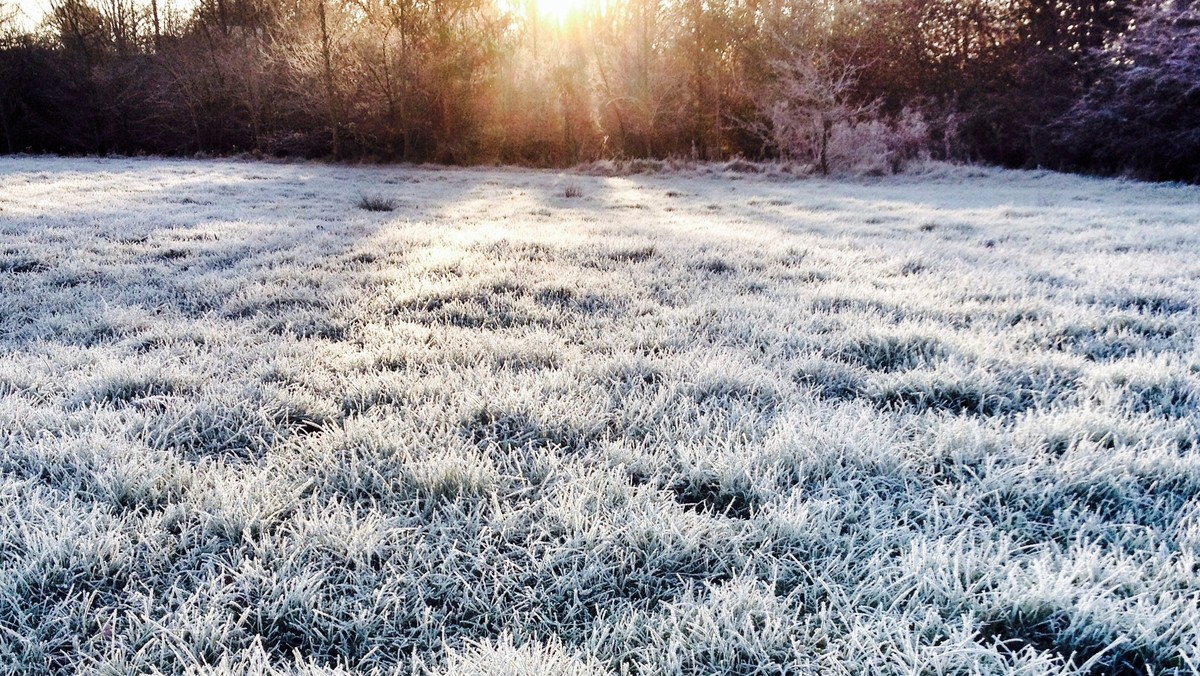 Instytut Meteorologii i Gospodarki Wodnej wydał wieczorem ostrzeżenie pierwszego stopnia przed przymrozkami dla 13 województw. Najzimniej będzie w woj. mazowieckim i warmińsko-mazurskim.