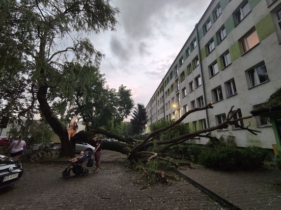 Nawałnica spustoszyła Osiedle Podwawelskie