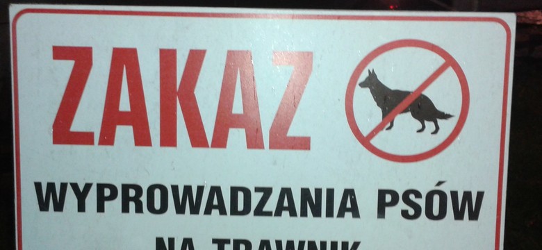 Jak zabronić psom sikać do piaskownicy?