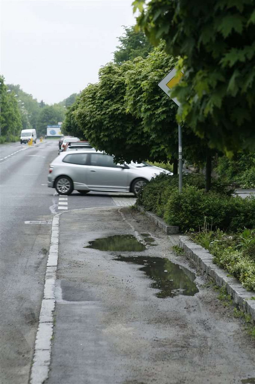 Panie dyrektorze, wytnij zielsko, bo dojdzie do tragedii!