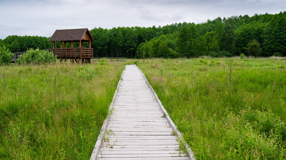 Poleski Park Narodowy