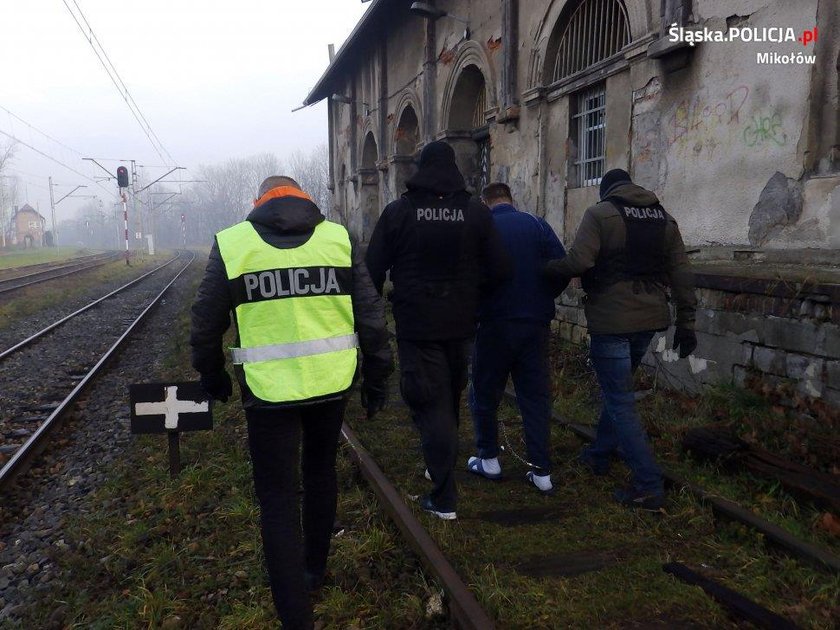 Szokujące odkrycie - mają zabójców