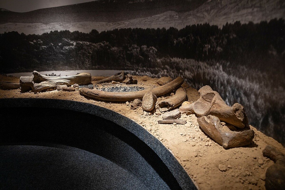 Výstava Věstonická venuša.