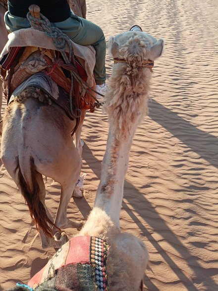 Wadi Rum Jordania