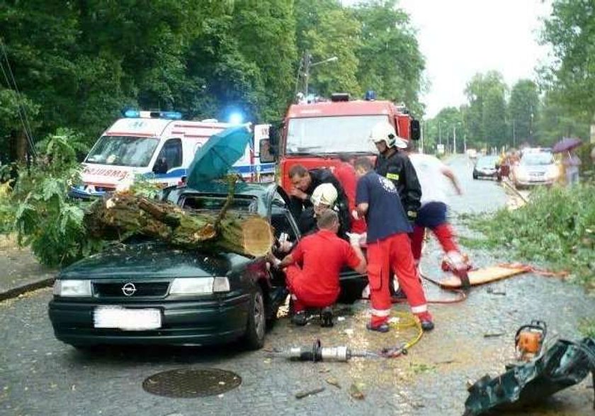 Drzewo zwaliło się na auto. Matka z dzieckiem przeżyli!