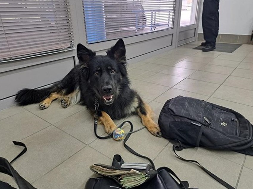 Pas sprečio krijumčarenje novca