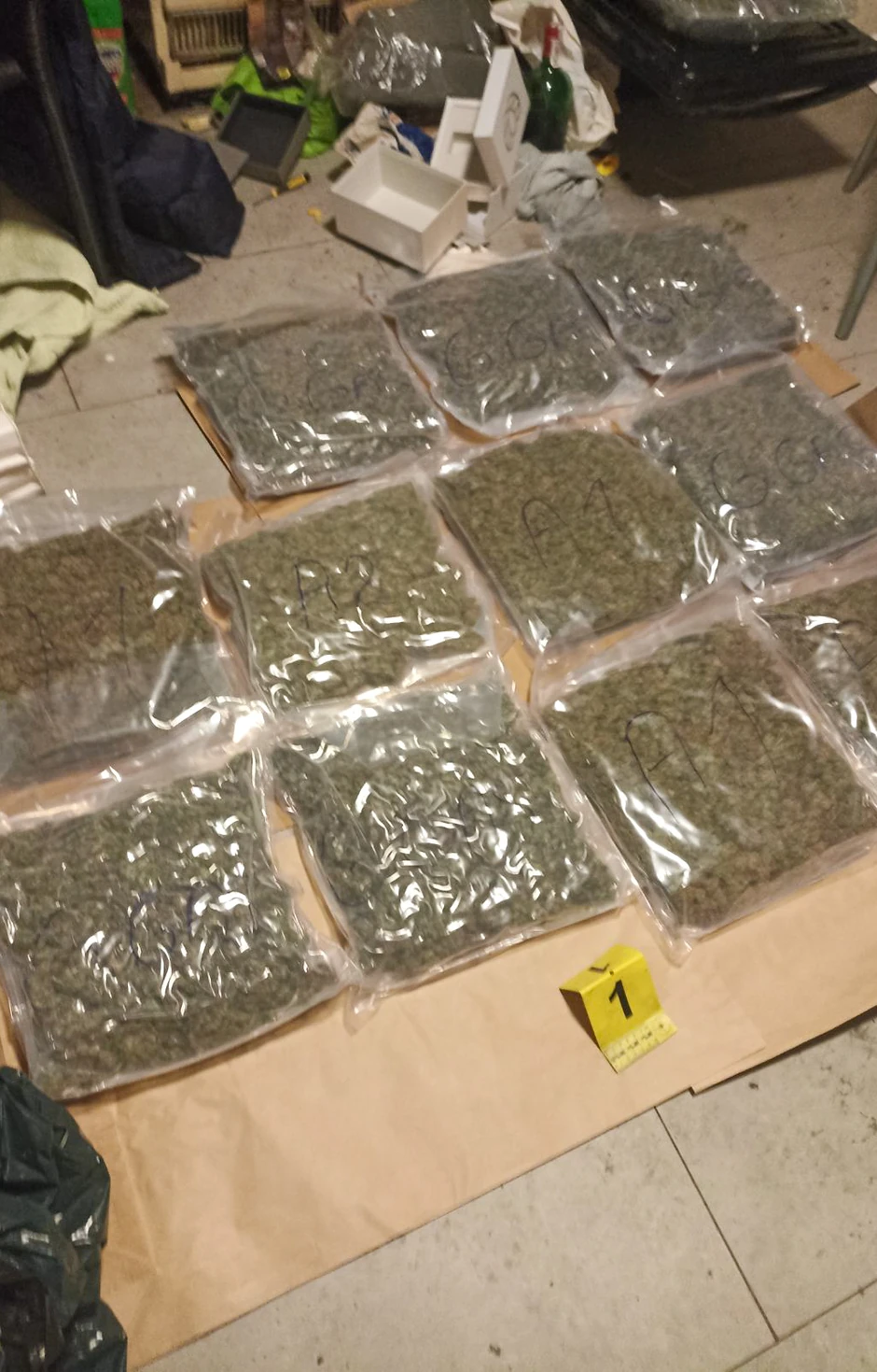 Zaplenjena marihuana