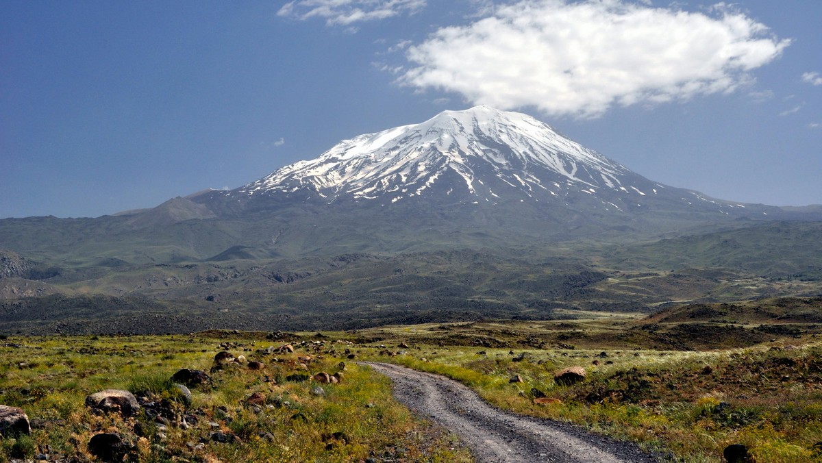 Owczarek wabiący się Lord jest pierwszym psem, który czterokrotnie wszedł na najwyższy szczyt Turcji, legendarny Ararat (5137 m) towarzysząc wspinającym się turystom. Jak zapewnia przewodnik Mustafa Tekin, Lord nieomylnie wyczuwa warunki terenowe i pogodę.