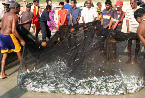 Rybacy z Goa