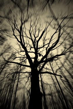 Najpiękniejsza natura