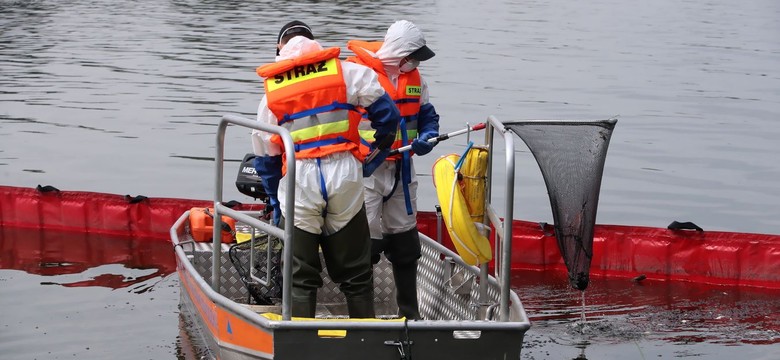 Śnięte ryby w Odrze. PiWet opublikował najnowsze badania