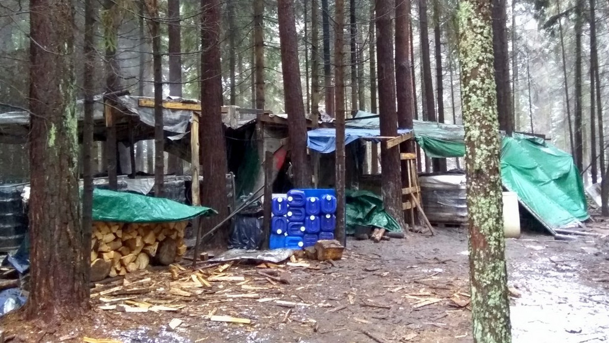 Krynki: Likwidacja bimbrowni w lesie. Zabezpieczono 300 litrów alkoholu