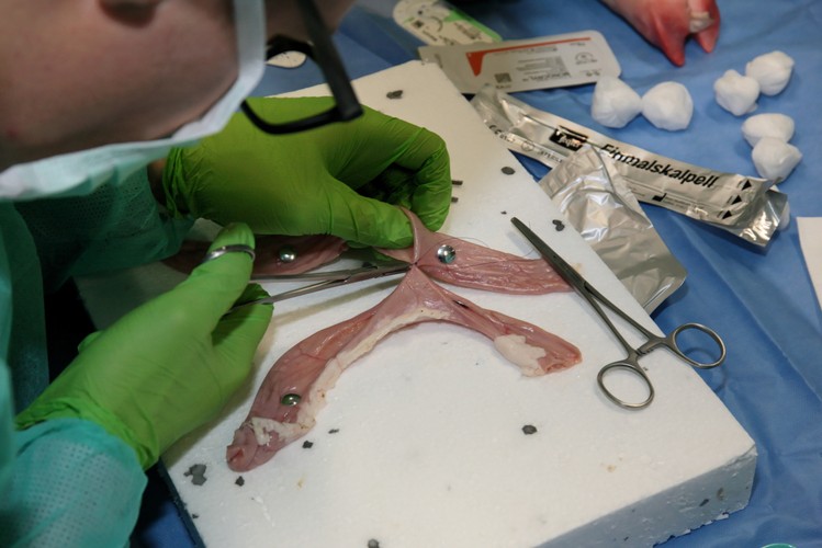 MISTRZOSTWA POLSKI W SZYCIU CHIRURGICZNYM