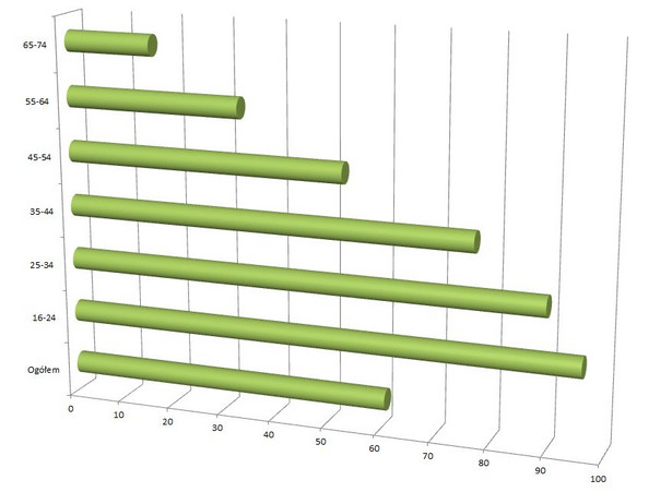 Odestek osób w Polsce, które w 2013 korzystały z komputera - według grup wiekowych (dane w proc.). Żródło: Raport GUS Społeczeństwo informacyjne w Polsce. Wyniki Badań statystycznych z lat 2009-2013