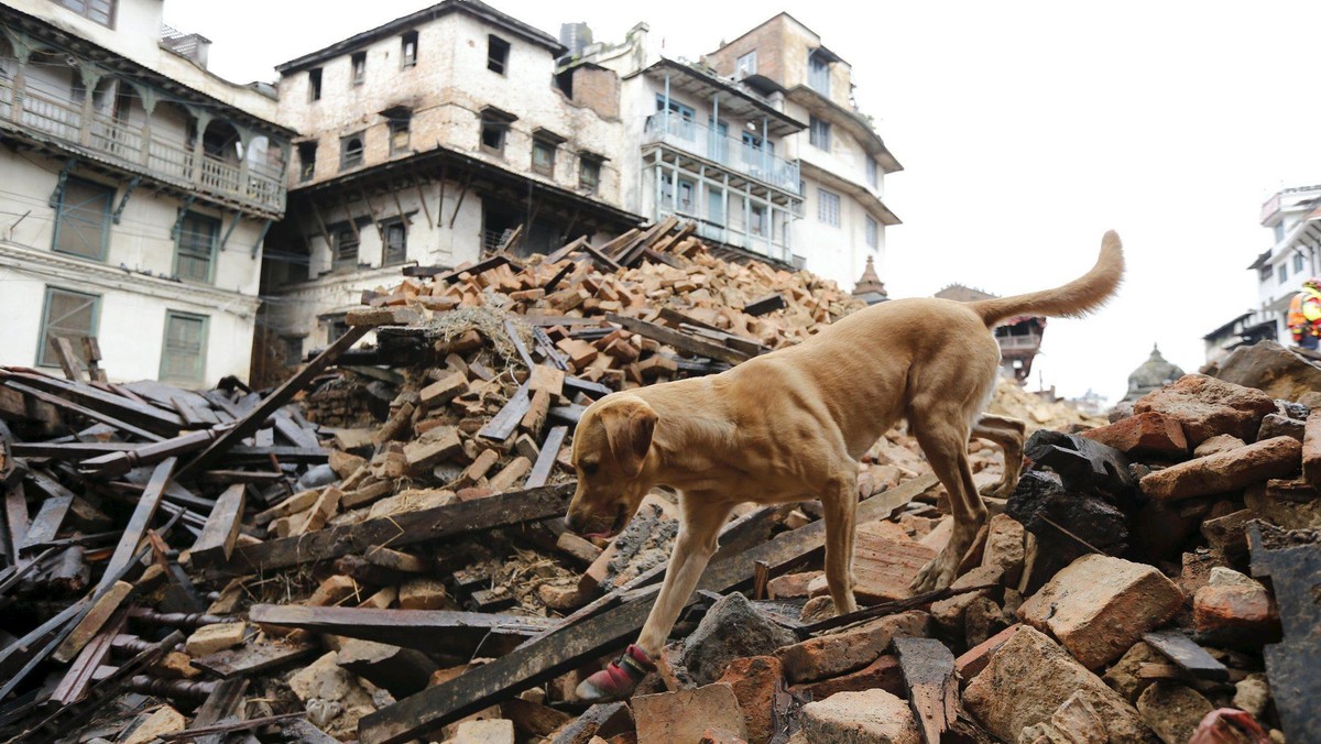 Nepal trzęsienie ziemi