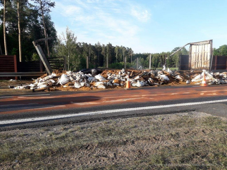 Pożar ciężarówki z paszą na autostradzie A2