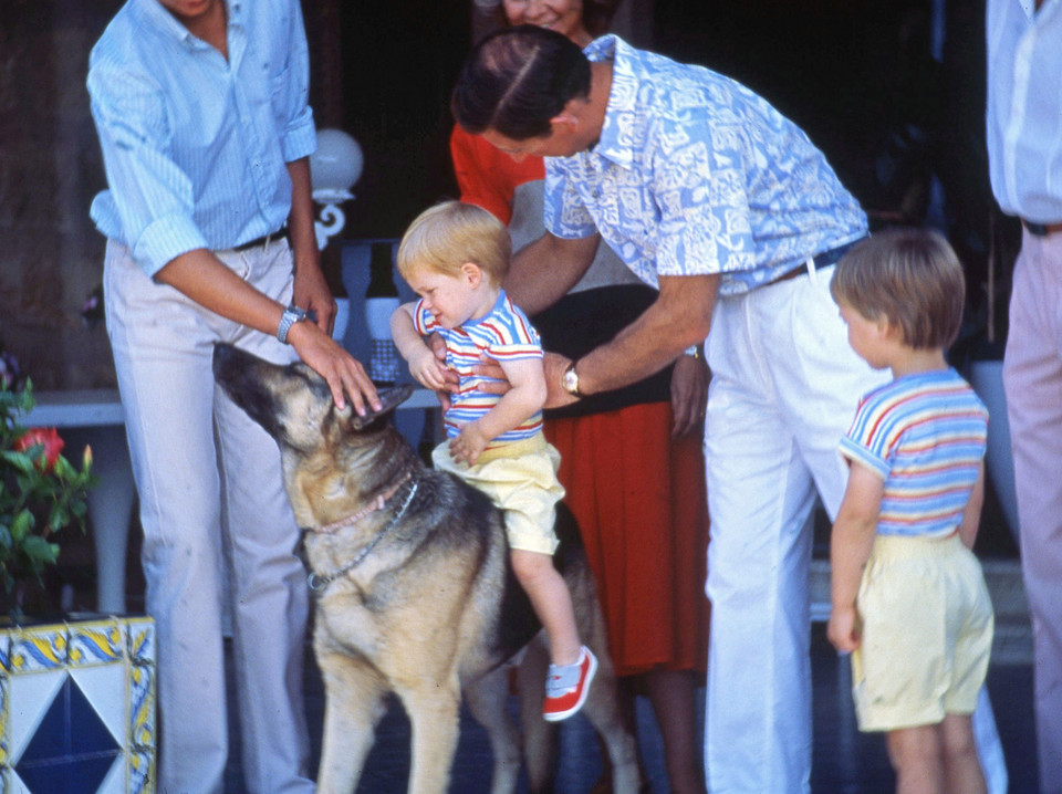 Książę William i książę Harry