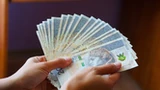Nawet milion złotych dla pracodawców za udział w testowaniu skróconego czasu pracy. Kiedy rusza nabór do pilotażu i jak długo potrwa?
