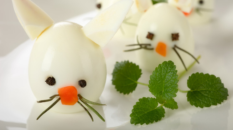 A bajszos tojások titkát is megtudhatja! /Fotó: Shutterstock