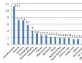 Odsetki od obligacji w parze z dywidendą