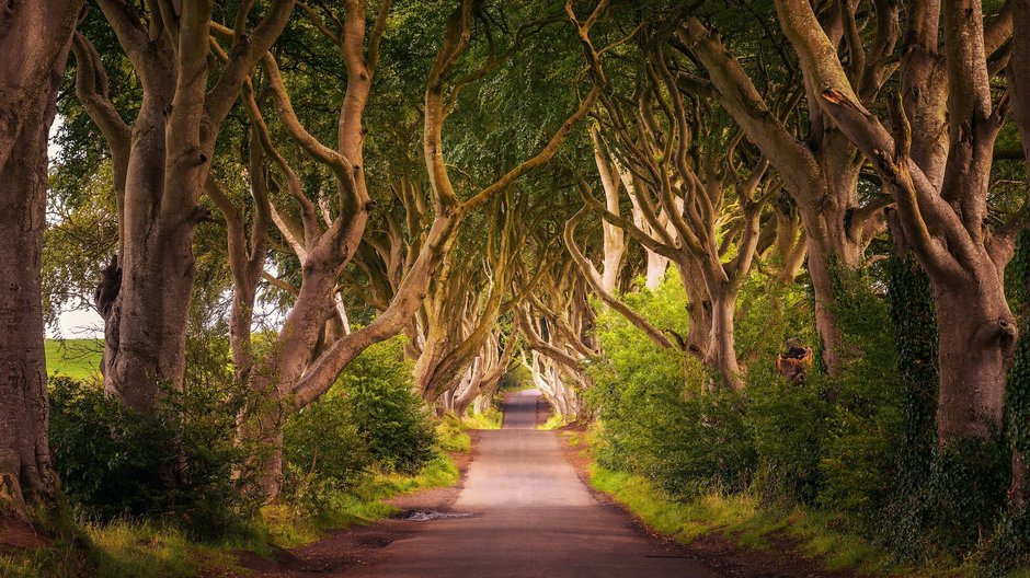 Irlandia to gratka dla fanów serialu "Gra o Tron", fot. iStock Editorial, Getty Images Plus, miroslav_1