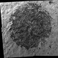 Mars: kolejne zdjęcia / 07.jpg