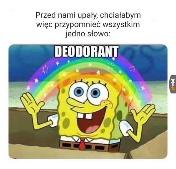 Memy o upałach. Internauci w formie