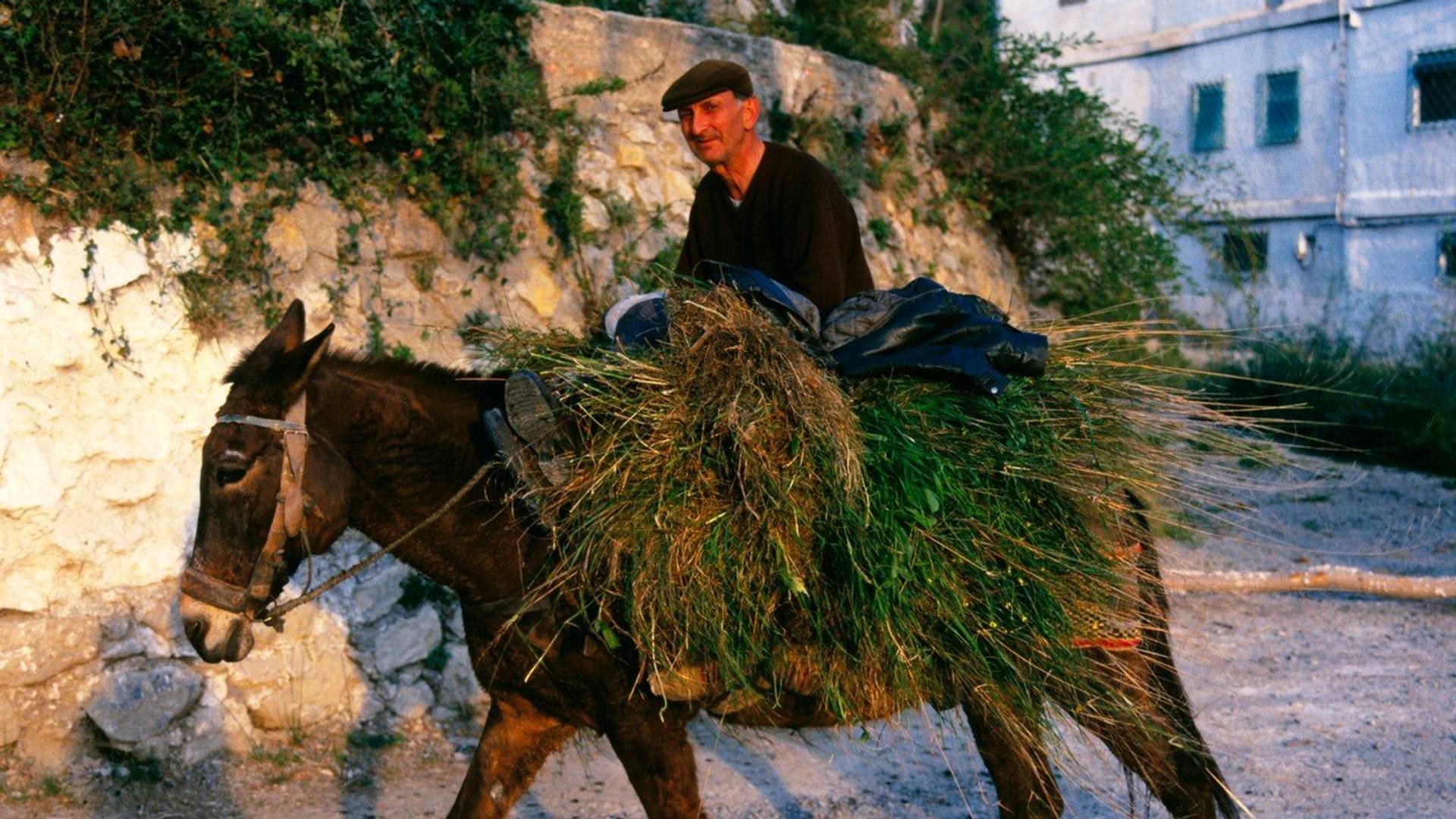 Mesta gde je umiranje zabranjeno zakonom