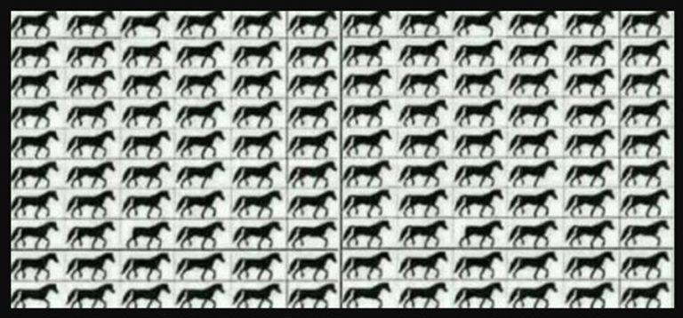 Most letesztelheted a látásod: Te hány háromlábú lovat látsz meg a képen?