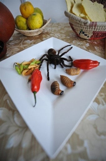 VENEZUELA - GASTRONOMY - MENDEZ - SPIDER