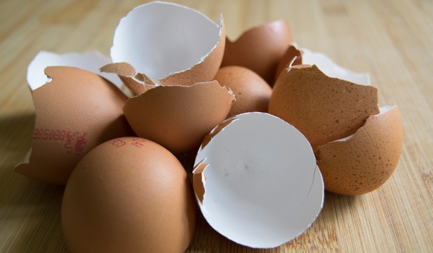 Ljuske od jaja bogat su izvor kalcijuma 