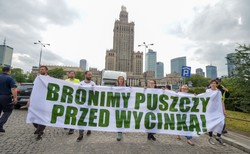 Przeciwnicy wycinki Puszczy Białowieskiej protestowali w Warszawie. "Nam nie jest Szyszko jedno"