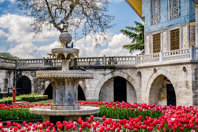Lale u vrtu Topkapi palate