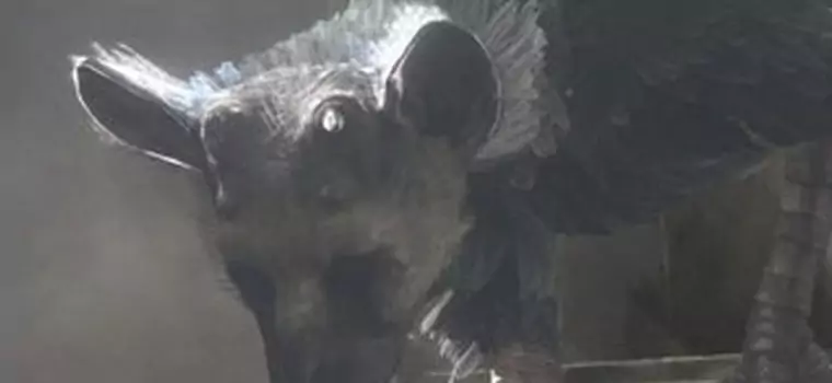 Ponoć The Last Guardian pojawi się na E3