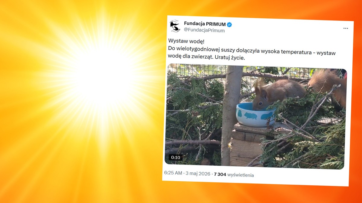 Susza i wysokie temperatury w Polsce. Apelują o jedno, zajmie ci to chwilę