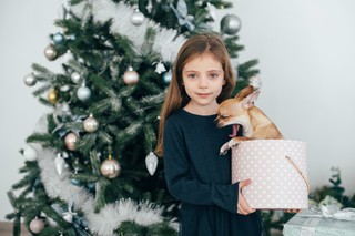 Te rasy psów wymagają specjalnych pozwoleń. Sprawdź, zanim kupisz