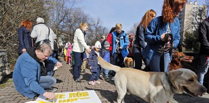 Nie rób gańby, skludzej... – wzywa Chorzów