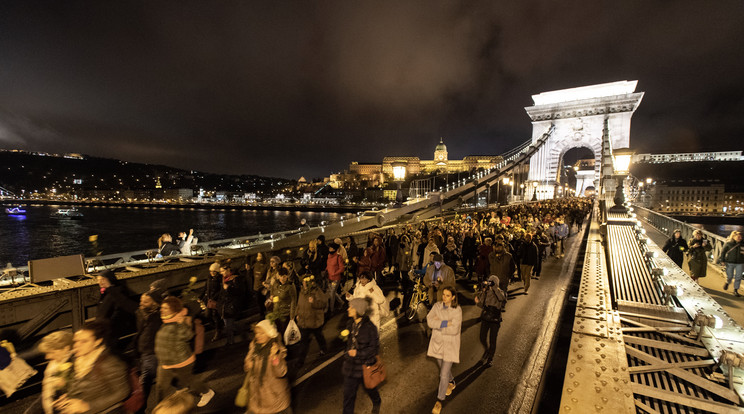 A lúgos orvos ellen tüntettek Budapesten  / Fotó: MTI Mónus Márton